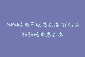 狗狗咳嗽干呕怎么办 哺乳期狗狗咳嗽怎么办