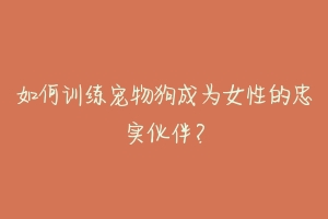 如何训练宠物狗成为女性的忠实伙伴？