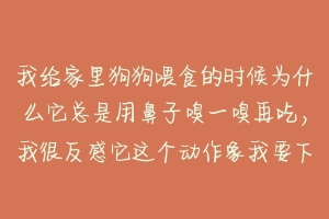 我给家里狗狗喂食的时候为什么它总是用鼻子嗅一嗅再吃，我很反感它这个动作象我要下毒害它样的 为什么狗狗一直擦鼻子