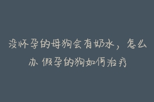 没怀孕的母狗会有奶水，怎么办 假孕的狗如何治疗