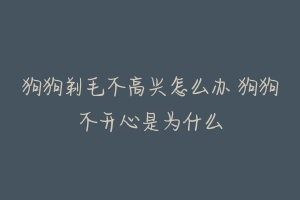 狗狗剃毛不高兴怎么办 狗狗不开心是为什么