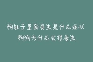 狗肚子里面有虫是什么症状 狗狗为什么会得条虫