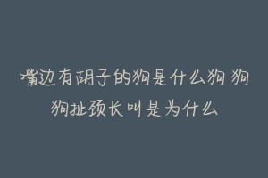 嘴边有胡子的狗是什么狗 狗狗扯颈长叫是为什么