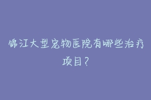 锦江大型宠物医院有哪些治疗项目？