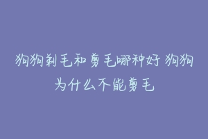 狗狗剃毛和剪毛哪种好 狗狗为什么不能剪毛