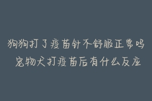 狗狗打了疫苗针不舒服正常吗 宠物犬打疫苗后有什么反应