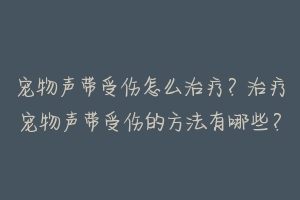 宠物声带受伤怎么治疗？治疗宠物声带受伤的方法有哪些？