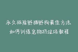 永久驱除野猫野狗最佳方法 如何训练宠物扔垃圾教程