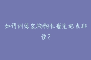 如何训练宠物狗在指定地点排便？