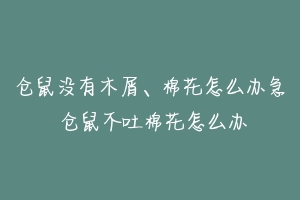 仓鼠没有木屑、棉花怎么办急 仓鼠不吐棉花怎么办