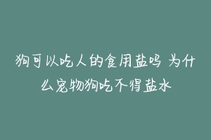 狗可以吃人的食用盐吗 为什么宠物狗吃不得盐水