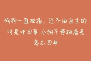 狗狗一直抽搐，还不由自主的叫是咋回事 小狗不停抽搐是怎么回事