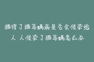 猫得了猫耳螨病是否会传染给人 人传染了猫耳螨怎么办