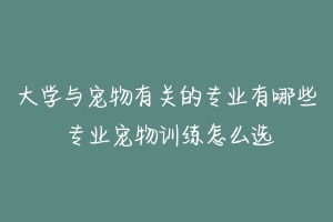 大学与宠物有关的专业有哪些 专业宠物训练怎么选