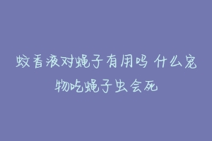 蚊香液对蝇子有用吗 什么宠物吃蝇子虫会死