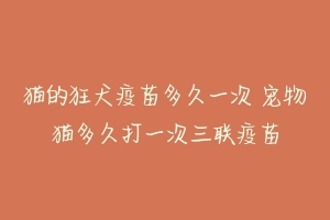 猫的狂犬疫苗多久一次 宠物猫多久打一次三联疫苗