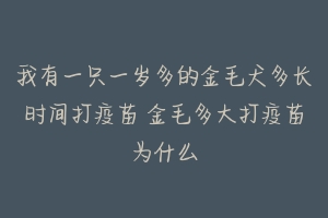 我有一只一岁多的金毛犬多长时间打疫苗 金毛多大打疫苗为什么