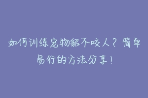 如何训练宠物貂不咬人？简单易行的方法分享！