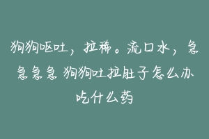 狗狗呕吐，拉稀。流口水，急急急急 狗狗吐拉肚子怎么办吃什么药