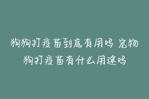 狗狗打疫苗到底有用吗 宠物狗打疫苗有什么用途吗