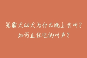 恶霸犬幼犬为什么晚上会叫？如何止住它的叫声？