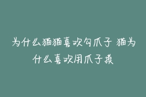 为什么猫猫喜欢勾爪子 猫为什么喜欢用爪子摸