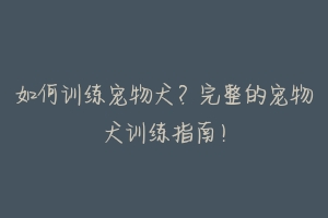 如何训练宠物犬？完整的宠物犬训练指南！