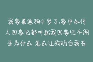 我家泰迪狗4岁了.家中如何人回家它都叫就我回家它不闹是为什么 怎么让狗明白我在叫它