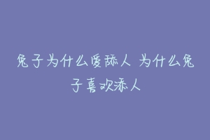 兔子为什么爱舔人 为什么兔子喜欢添人