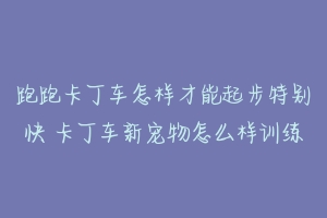 跑跑卡丁车怎样才能起步特别快 卡丁车新宠物怎么样训练