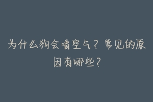 为什么狗会嚼空气？常见的原因有哪些？