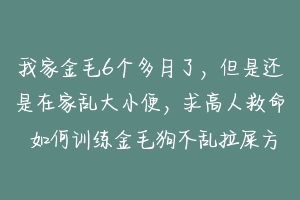 我家金毛6个多月了，但是还是在家乱大小便，求高人救命 如何训练金毛狗不乱拉屎方法