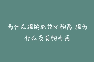 为什么猫的地位比狗高 猫为什么没有狗听话