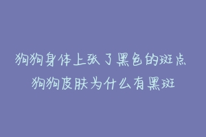 狗狗身体上张了黑色的斑点 狗狗皮肤为什么有黑斑