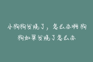 小狗狗发烧了，怎么办啊 狗狗如果发烧了怎么办