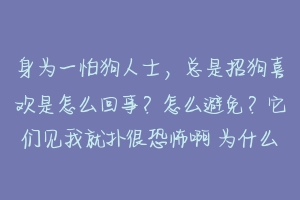 身为一怕狗人士，总是招狗喜欢是怎么回事？怎么避免？它们见我就扑很恐怖啊 为什么狗喜欢人