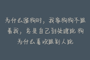 为什么遛狗时，我家狗狗不跟着我，总是自己到处瞎跑 狗为什么喜欢跟别人跑