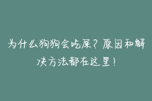 为什么狗狗会吃屎？原因和解决方法都在这里！