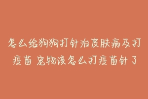 怎么给狗狗打针治皮肤病及打疫苗 宠物该怎么打疫苗针了