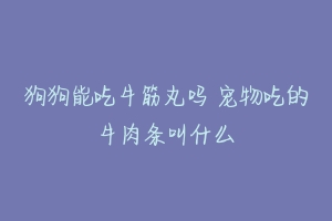 狗狗能吃牛筋丸吗 宠物吃的牛肉条叫什么