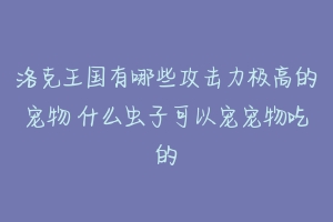 洛克王国有哪些攻击力极高的宠物 什么虫子可以宠宠物吃的