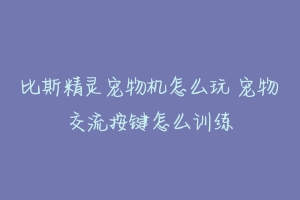 比斯精灵宠物机怎么玩 宠物交流按键怎么训练