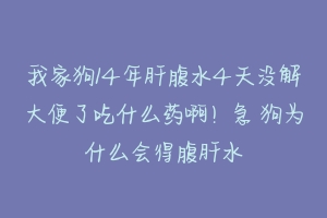 我家狗14年肝腹水4天没解大便了吃什么药啊！急 狗为什么会得腹肝水