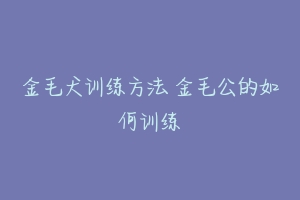 金毛犬训练方法 金毛公的如何训练