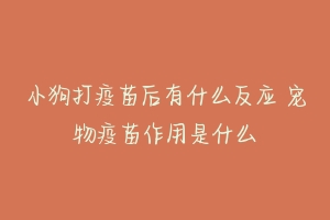 小狗打疫苗后有什么反应 宠物疫苗作用是什么