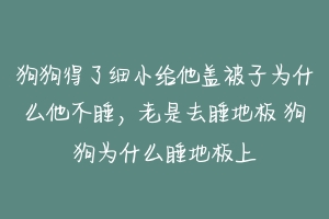 狗狗得了细小给他盖被子为什么他不睡，老是去睡地板 狗狗为什么睡地板上