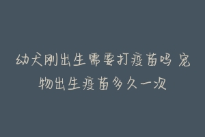 幼犬刚出生需要打疫苗吗 宠物出生疫苗多久一次