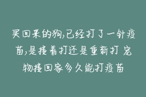 买回来的狗,已经打了一针疫苗,是接着打还是重新打 宠物接回家多久能打疫苗