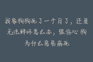 我家狗狗死了一个月了，还是无法释怀怎么办，很伤心 狗为什么容易病死