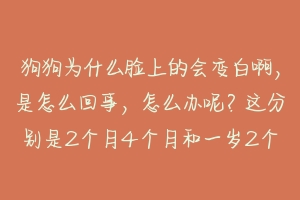 狗狗为什么脸上的会变白啊，是怎么回事，怎么办呢？这分别是2个月4个月和一岁2个月，麻烦专业人士解 狗狗指甲变白怎么回事啊